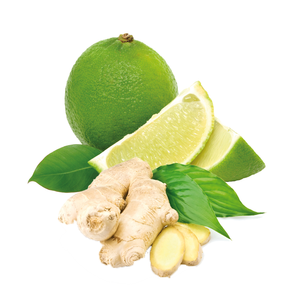 Hand Balm Ginger-Lime